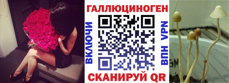 Галлюциногенные грибы GOLDEN TEACHER  Купить где  Сунжа 