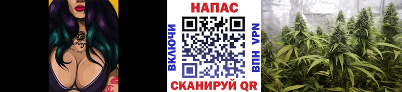 Купить  Сунжа  Бошки марихуана конопля 